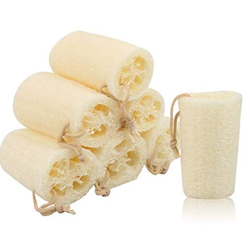 Natural Loofah Sponge