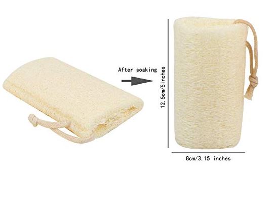 Natural Loofah Sponge